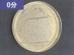 0分