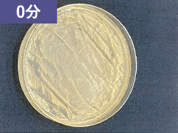 0分